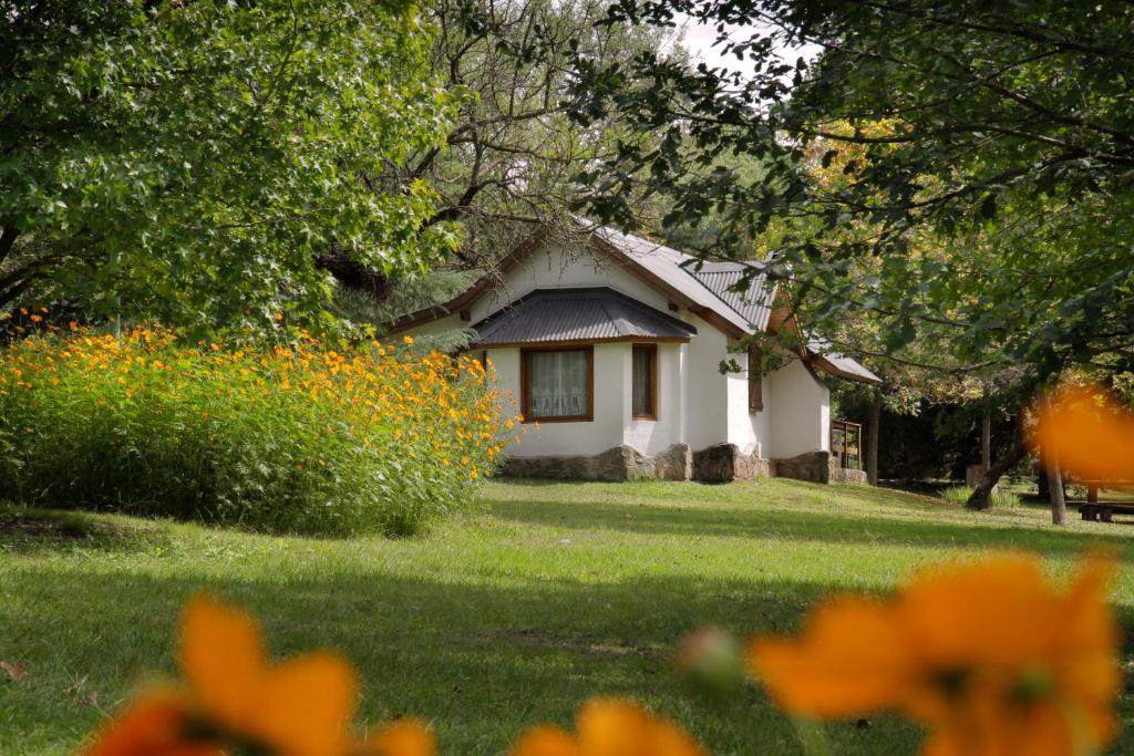 Cabanas Am Bach ビジャ・ヘネラル・ベルグラーノ エクステリア 写真